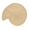 308502 jogo americano brazil nature shell