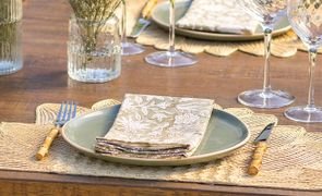 blog vivant salvia 2