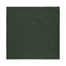 310130 310139 guardanapo 4 pcs e avulso tekapo 45cmx45cm verde 2