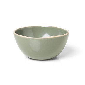 313064 bowl 15cm vivant salvia