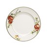 313660 prato raso aquarelle pomodoro e basilico